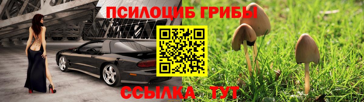 Галлюциногенные грибы прущие грибы  Вход с VPN  Серпухов 